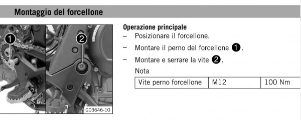 forcellone.jpg